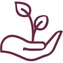 Ergotherapie